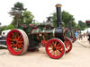 West Park Steam Rally, June 2010: Image