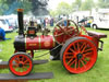 West Park Steam Rally, June 2010: Image