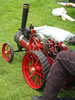 West Park Steam Rally, June 2010: Image